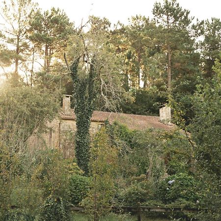 Casas Alexandre Pensionat Pontevedra Eksteriør billede